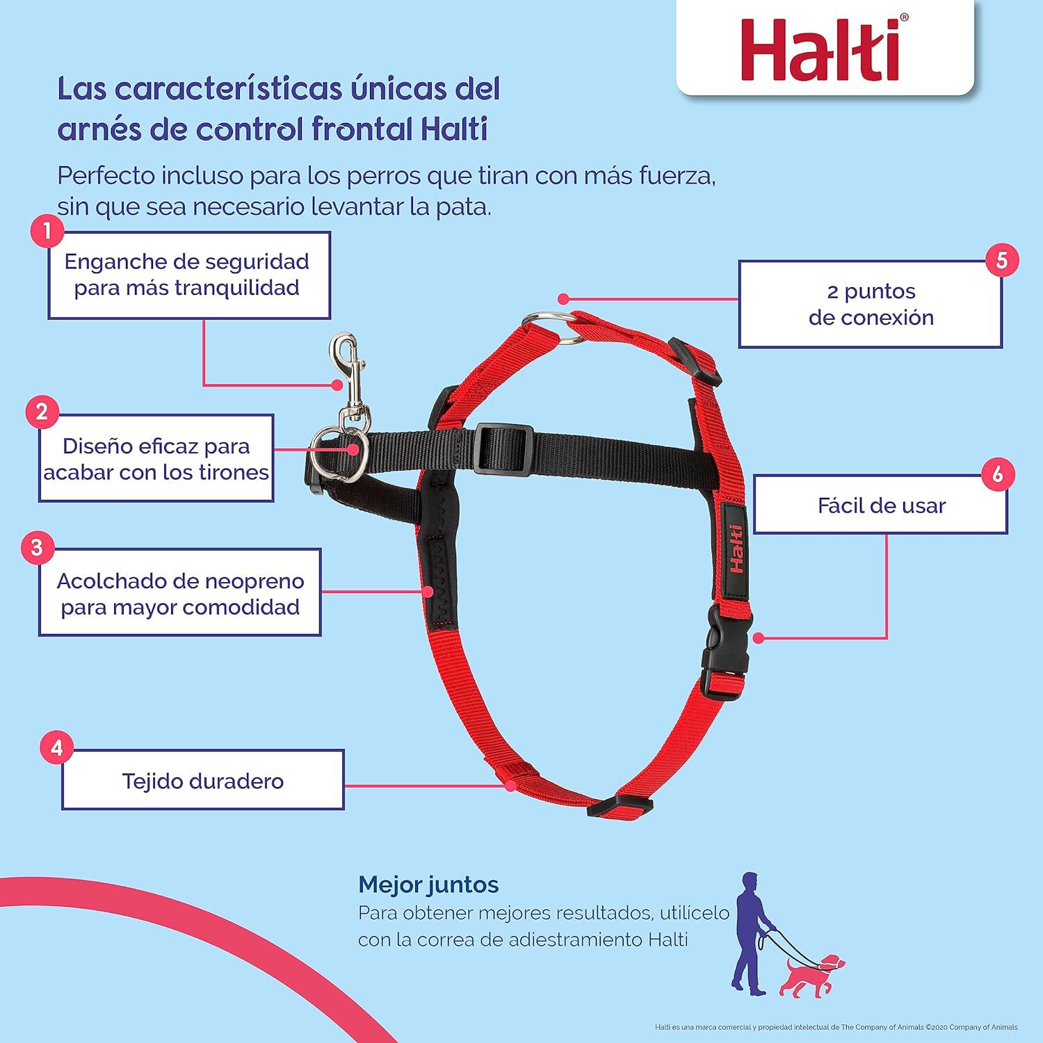 Halti Arn&eacute;s de Adiestramiento Antitirones para perros, , large indicador imagen numero 3
